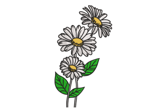 Download Sketch Daisy Trio – Modern Botanical - Botanical Collection
